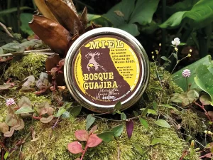 Miel de bosque de niebla